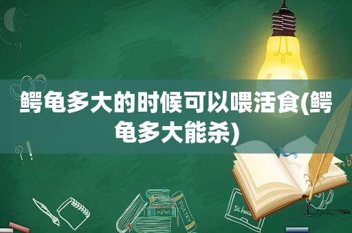 鳄龟多大的时候可以喂活食(鳄龟多大能杀)