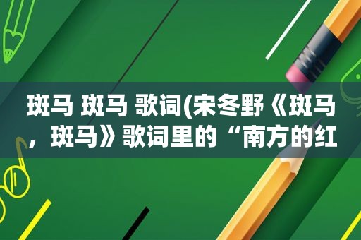 斑马 斑马 歌词(宋冬野《斑马，斑马》歌词里的“南方的红色”有什么含义)