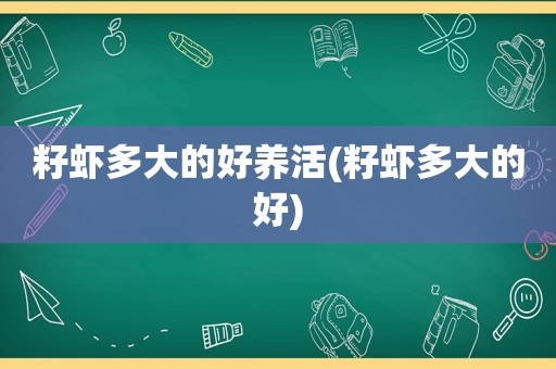 籽虾多大的好养活(籽虾多大的好)