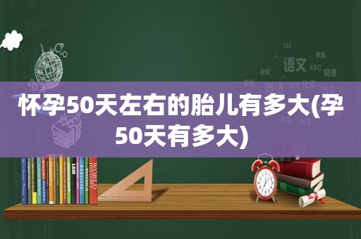 怀孕50天左右的胎儿有多大(孕50天有多大)