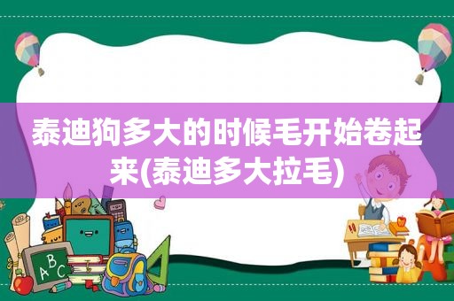 泰迪狗多大的时候毛开始卷起来(泰迪多大拉毛)