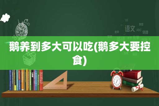 鹅养到多大可以吃(鹅多大要控食)