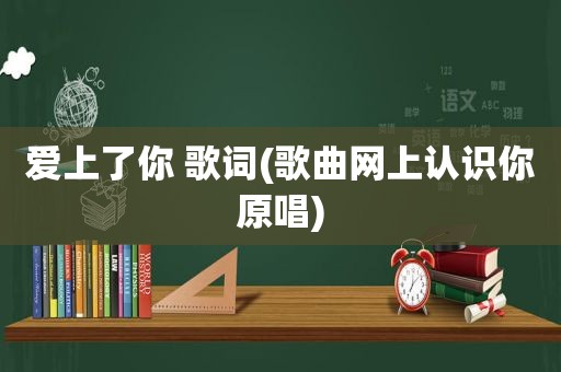 爱上了你 歌词(歌曲网上认识你原唱)