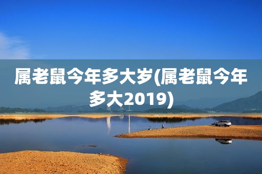 属老鼠今年多大岁(属老鼠今年多大2019)