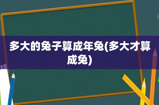 多大的兔子算成年兔(多大才算成兔)