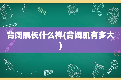 背阔肌长什么样(背阔肌有多大)