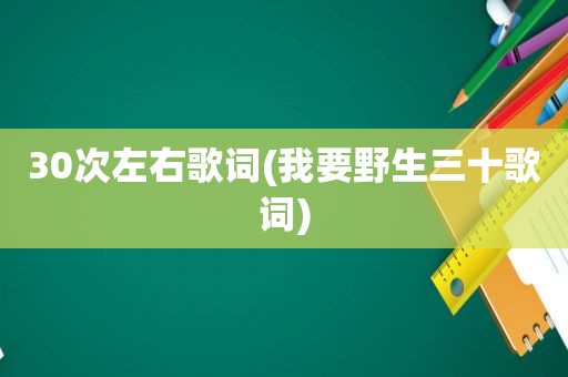 30次左右歌词(我要野生三十歌词)