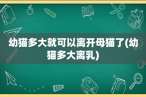 幼猫多大就可以离开母猫了(幼猫多大离乳)