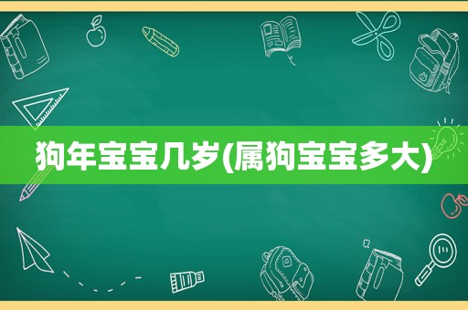 狗年宝宝几岁(属狗宝宝多大)