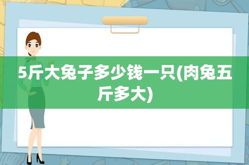 5斤大兔子多少钱一只(肉兔五斤多大)