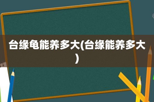 台缘龟能养多大(台缘能养多大)