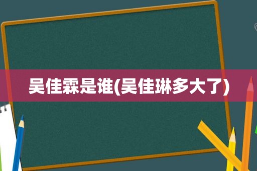 吴佳霖是谁(吴佳琳多大了)