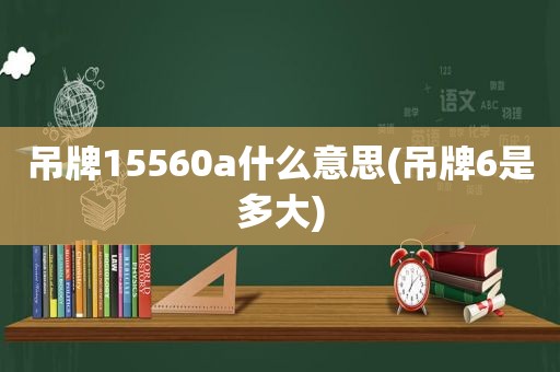 吊牌15560a什么意思(吊牌6是多大)