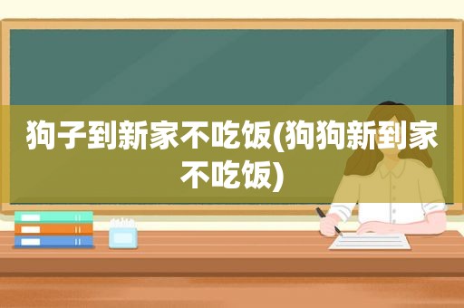 狗子到新家不吃饭(狗狗新到家不吃饭)