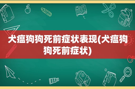 犬瘟狗狗死前症状表现(犬瘟狗狗死前症状)