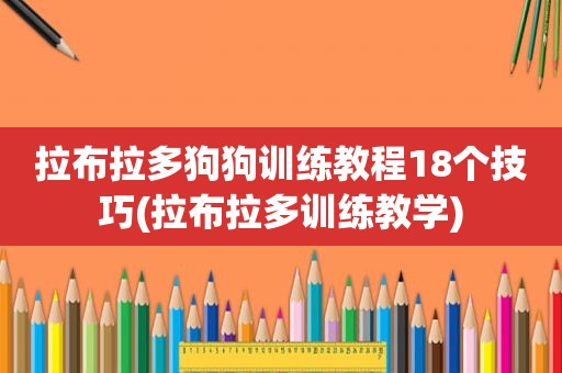 拉布拉多狗狗训练教程18个技巧(拉布拉多训练教学)