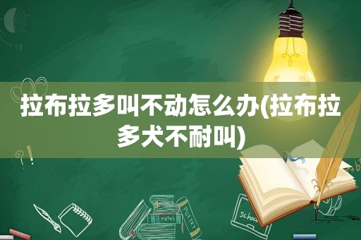 拉布拉多叫不动怎么办(拉布拉多犬不耐叫)