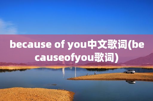 because of you中文歌词(becauseofyou歌词)