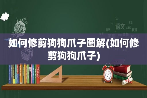 如何修剪狗狗爪子图解(如何修剪狗狗爪子)