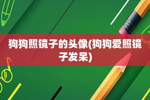 狗狗照镜子的头像(狗狗爱照镜子发呆)