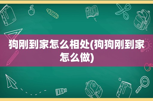 狗刚到家怎么相处(狗狗刚到家怎么做)