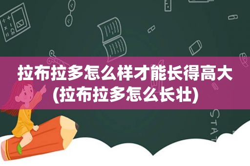 拉布拉多怎么样才能长得高大(拉布拉多怎么长壮)