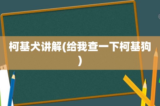 柯基犬讲解(给我查一下柯基狗)