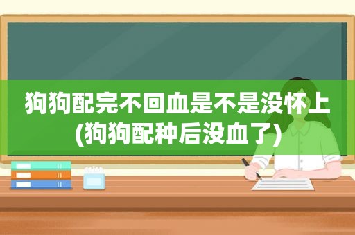 狗狗配完不回血是不是没怀上(狗狗配种后没血了)