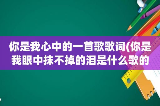 你是我心中的一首歌歌词(你是我眼中抹不掉的泪是什么歌的歌词)