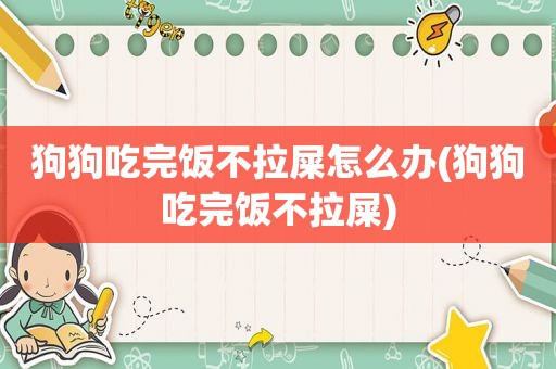 狗狗吃完饭不拉屎怎么办(狗狗吃完饭不拉屎)