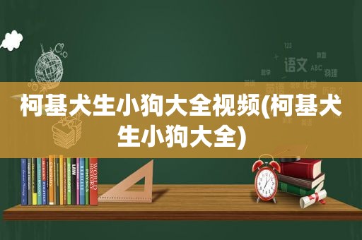 柯基犬生小狗大全视频(柯基犬生小狗大全)