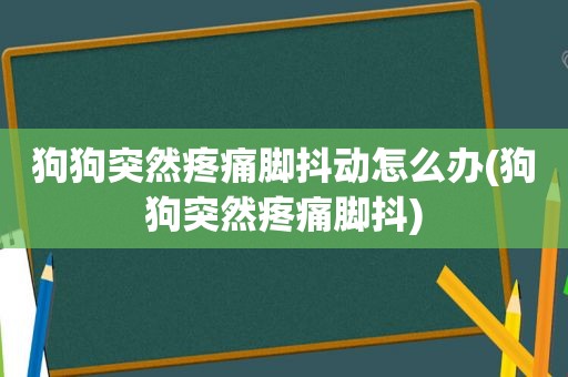 狗狗突然疼痛脚抖动怎么办(狗狗突然疼痛脚抖)