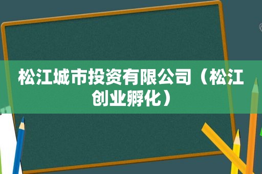 松江城市投资有限公司（松江创业孵化）