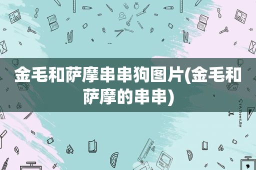 金毛和萨摩串串狗图片(金毛和萨摩的串串)