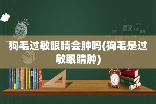 狗毛过敏眼睛会肿吗(狗毛是过敏眼睛肿)