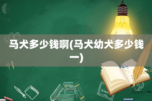 马犬多少钱啊(马犬幼犬多少钱一)