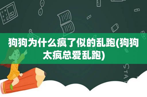 狗狗为什么疯了似的乱跑(狗狗太疯总爱乱跑)