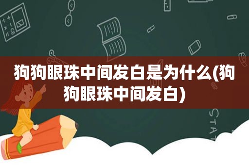 狗狗眼珠中间发白是为什么(狗狗眼珠中间发白)