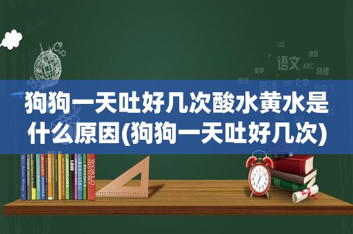 狗狗一天吐好几次酸水黄水是什么原因(狗狗一天吐好几次)