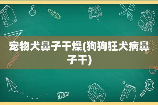 宠物犬鼻子干燥(狗狗狂犬病鼻子干)