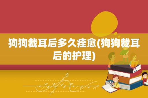 狗狗裁耳后多久痊愈(狗狗裁耳后的护理)