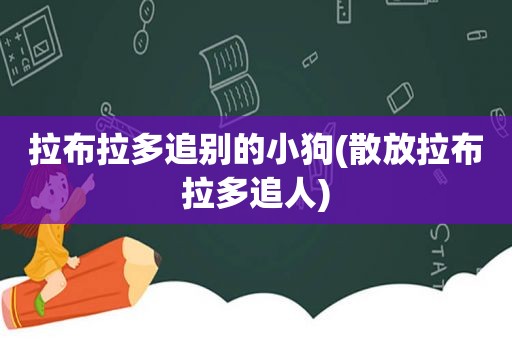 拉布拉多追别的小狗(散放拉布拉多追人)