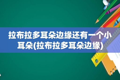 拉布拉多耳朵边缘还有一个小耳朵(拉布拉多耳朵边缘)