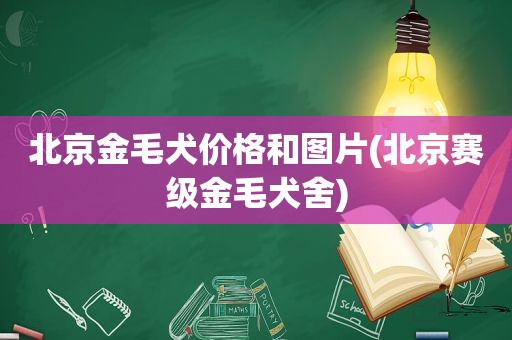 北京金毛犬价格和图片(北京赛级金毛犬舍)