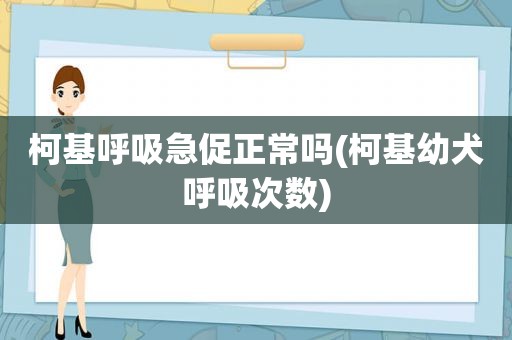 柯基呼吸急促正常吗(柯基幼犬呼吸次数)