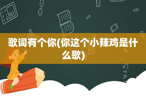 歌词有个你(你这个小辣鸡是什么歌)