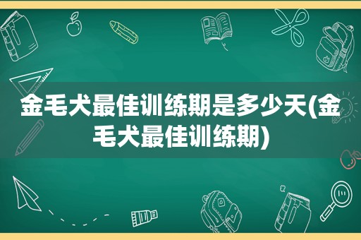 金毛犬最佳训练期是多少天(金毛犬最佳训练期)