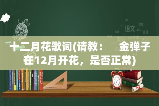 十二月花歌词(请教：　金弹子在12月开花，是否正常)