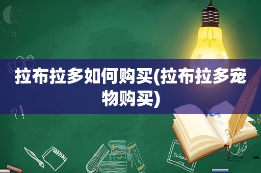 拉布拉多如何购买(拉布拉多宠物购买)