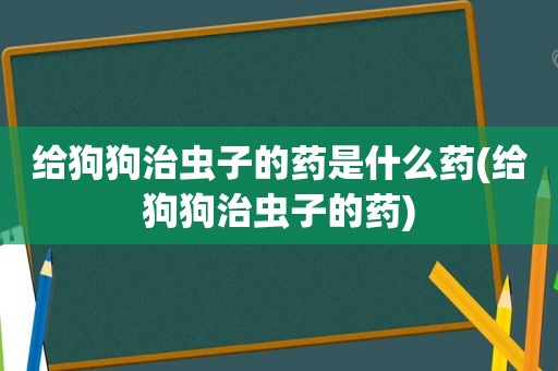 给狗狗治虫子的药是什么药(给狗狗治虫子的药)